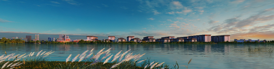 廣德·祥生觀棠府