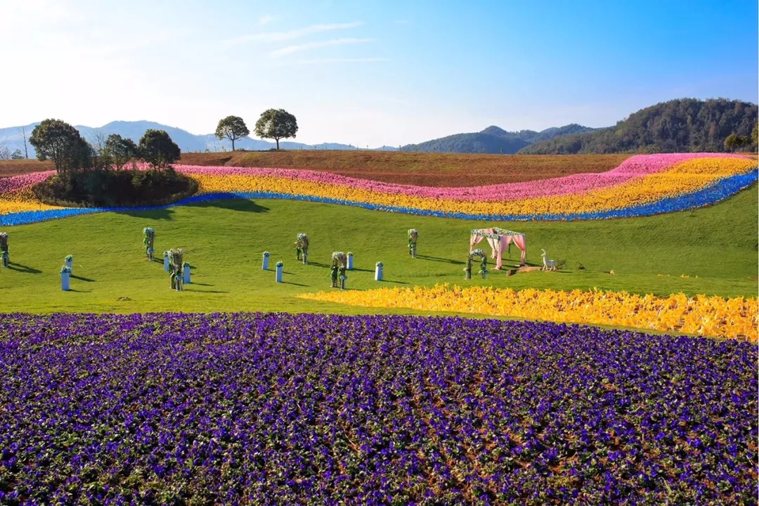 1554773559289826KK2d.jpg 640.webp (4).jpg