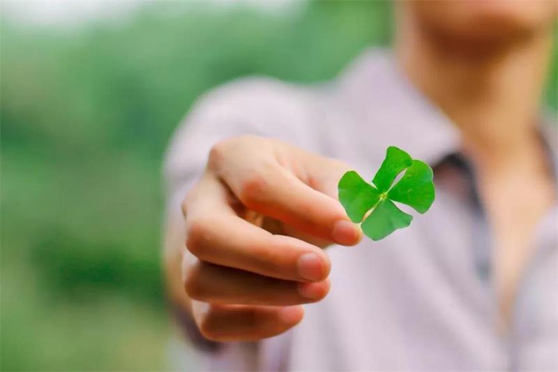 1563501939663682LmEx.jpg 03.jpg